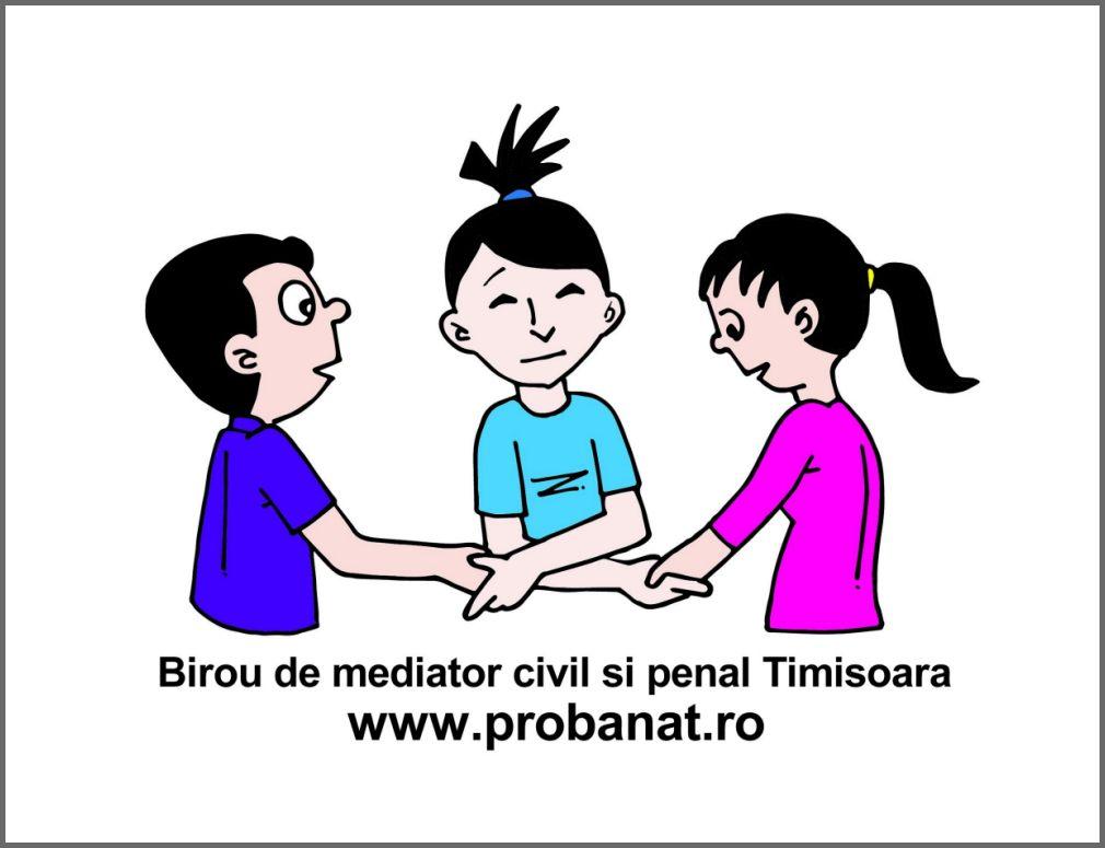 Birou de mediator - Matei Bitea Timișora