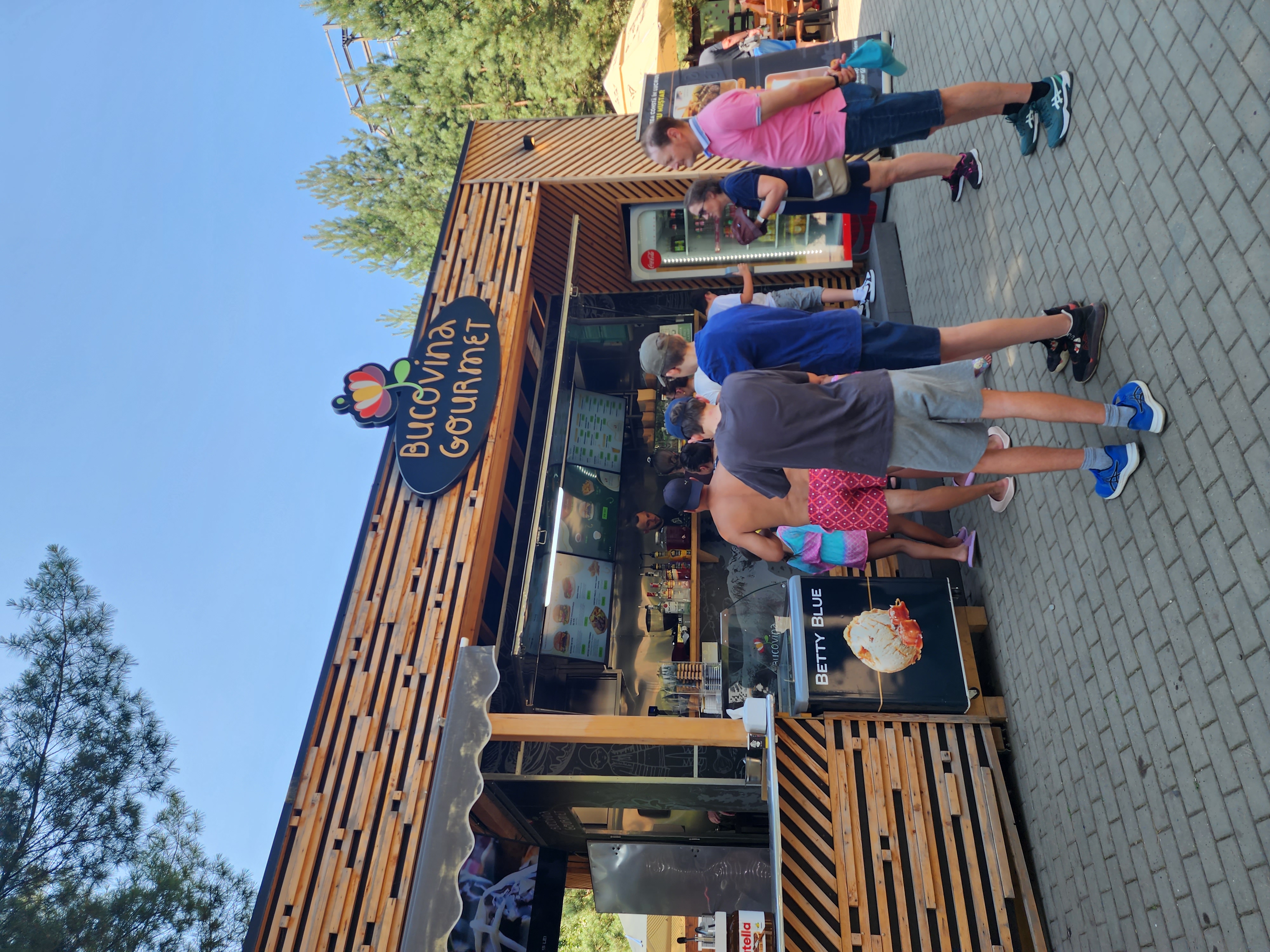 Bucovina Gourmet Food Truck